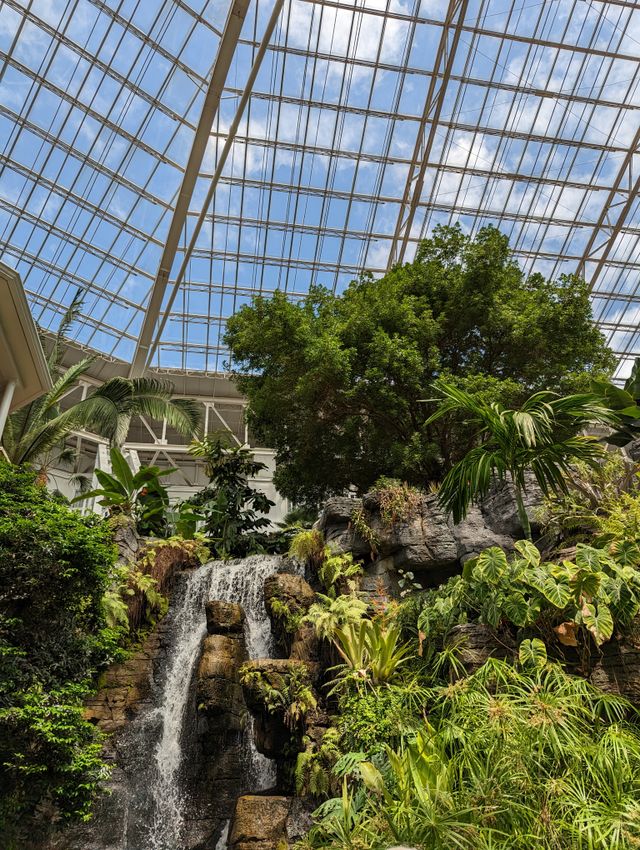A waterfall and tropical planting under the glass atrium roof at the Gaylord Opryland Resort